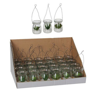 PIANTE GRASSE SUCCULENTI IN VASO MIX cm. 5 h. 16