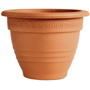 VASO CAMPANA