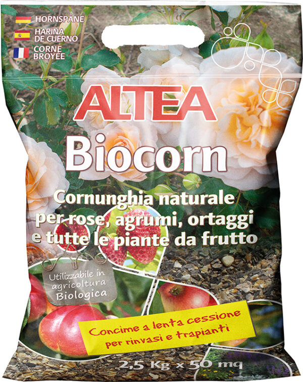BIOCORN - A CARTONI